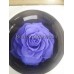 Стабилизированная роза XXXL в стеклянном бокале (фиолетовая)